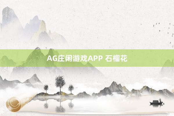 AG庄闲游戏APP 石榴花