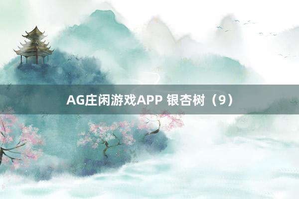 AG庄闲游戏APP 银杏树（9）
