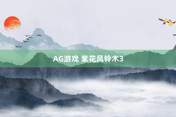 AG游戏 紫花风铃木3
