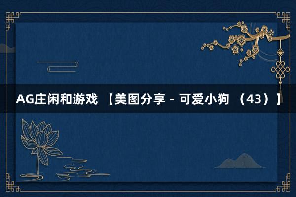 AG庄闲和游戏 【美图分享 - 可爱小狗 （43）】