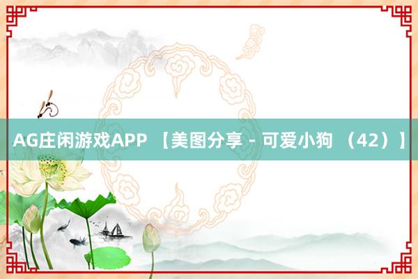 AG庄闲游戏APP 【美图分享 - 可爱小狗 （42）】