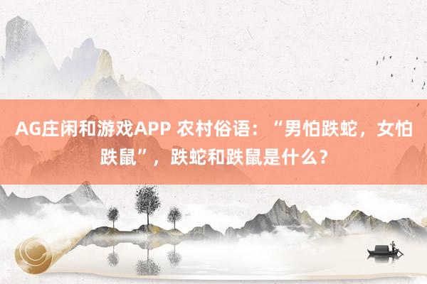 AG庄闲和游戏APP 农村俗语：“男怕跌蛇，女怕跌鼠”，跌蛇和跌鼠是什么？
