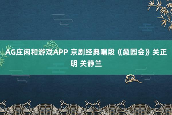 AG庄闲和游戏APP 京剧经典唱段《桑园会》关正明 关静兰