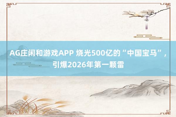 AG庄闲和游戏APP 烧光500亿的“中国宝马”，引爆2026年第一颗雷