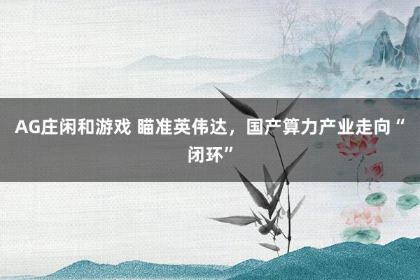 AG庄闲和游戏 瞄准英伟达，国产算力产业走向“闭环”