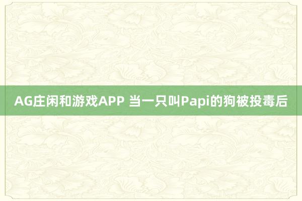 AG庄闲和游戏APP 当一只叫Papi的狗被投毒后