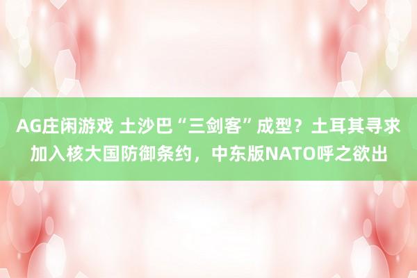 AG庄闲游戏 土沙巴“三剑客”成型？土耳其寻求加入核大国防御条约，中东版NATO呼之欲出