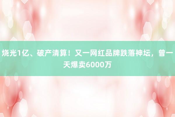 烧光1亿、破产清算！又一网红品牌跌落神坛，曾一天爆卖6000万