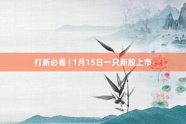 打新必看 | 1月15日一只新股上市