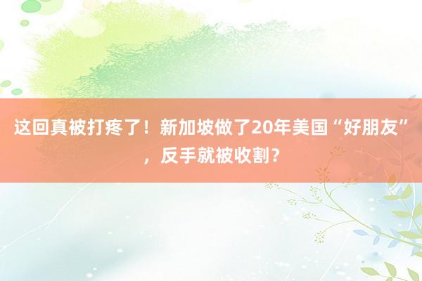 这回真被打疼了！新加坡做了20年美国“好朋友”，反手就被收割？