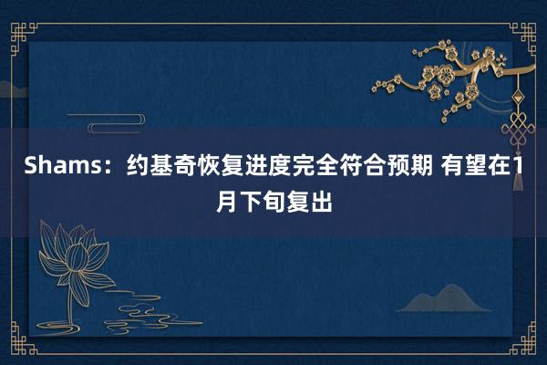 Shams：约基奇恢复进度完全符合预期 有望在1月下旬复出