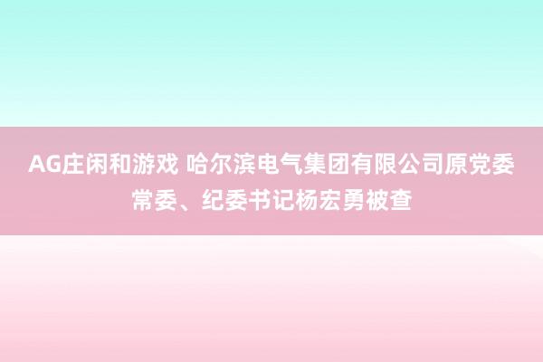 AG庄闲和游戏 哈尔滨电气集团有限公司原党委常委、纪委书记杨宏勇被查