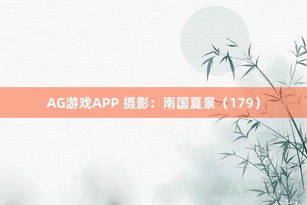 AG游戏APP 摄影：南国夏景（179）