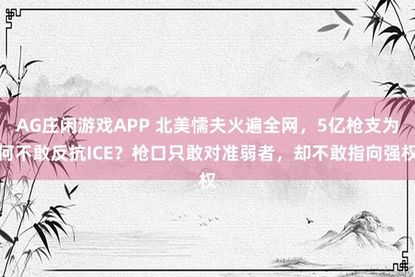 AG庄闲游戏APP 北美懦夫火遍全网,5亿枪支为何不敢反抗ICE?枪口只敢对准弱者,却不敢指向强权