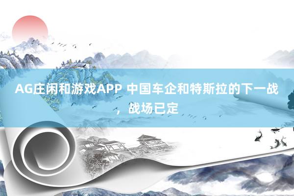 AG庄闲和游戏APP 中国车企和特斯拉的下一战，战场已定