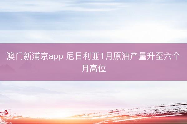 澳门新浦京app 尼日利亚1月原油产量升至六个月高位