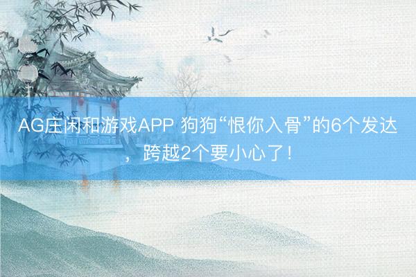 AG庄闲和游戏APP 狗狗“恨你入骨”的6个发达，跨越2个要小心了！